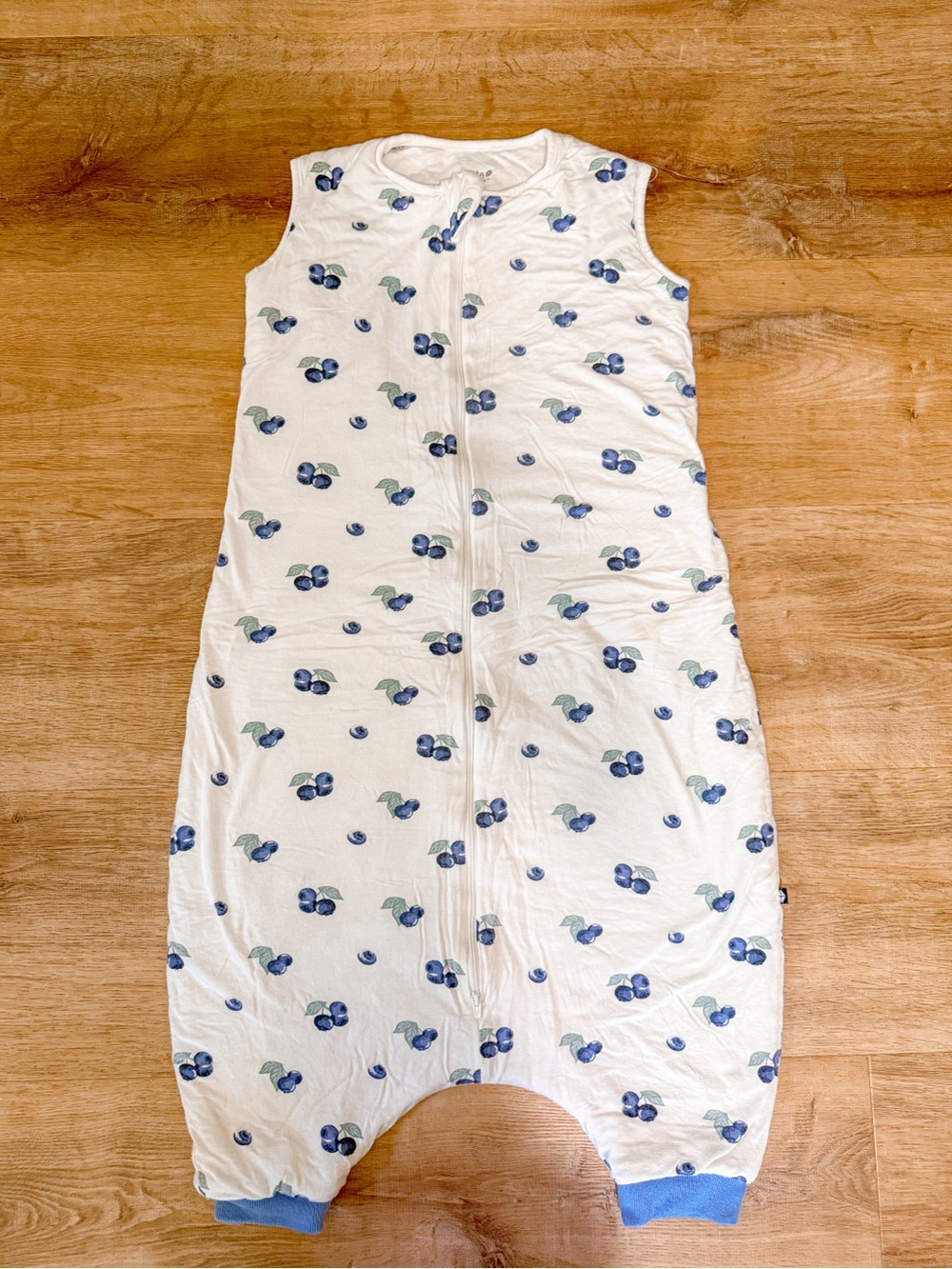 Kyte Baby | Blueberry Sleep Bag Walker | 1.0 Tog | Size large